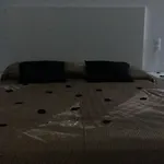 Apartamento En Edificio Apolo