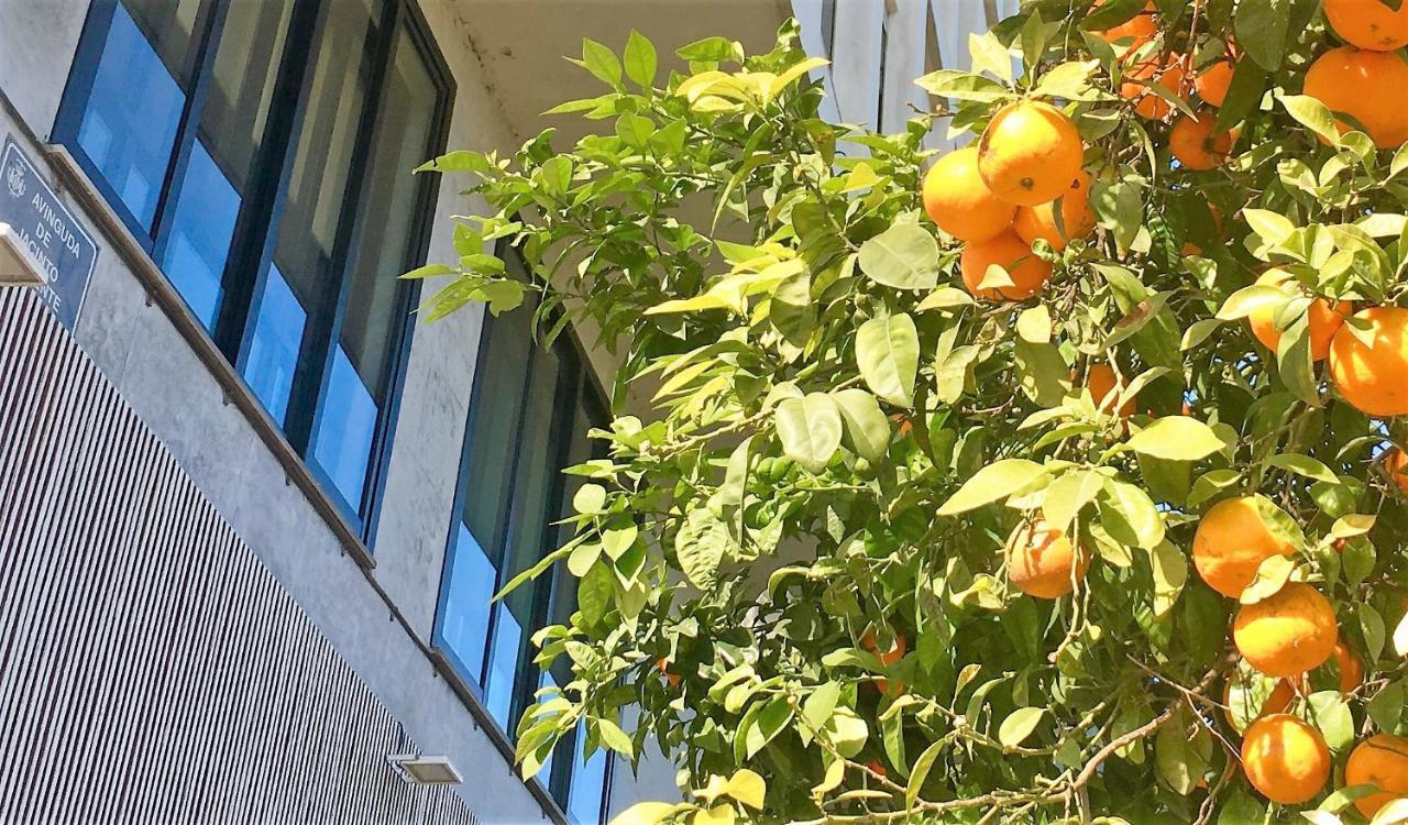 Md Modern - Jardines * Valencia