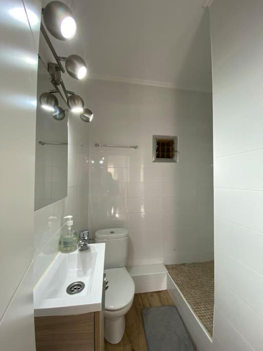 Vlc Center 4 Apartment *