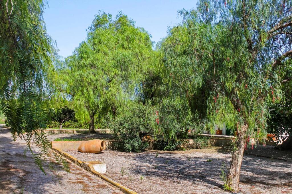 Huerto Valenciano - Sol Y Tranquilidad - Piscina Сasa de vacaciones