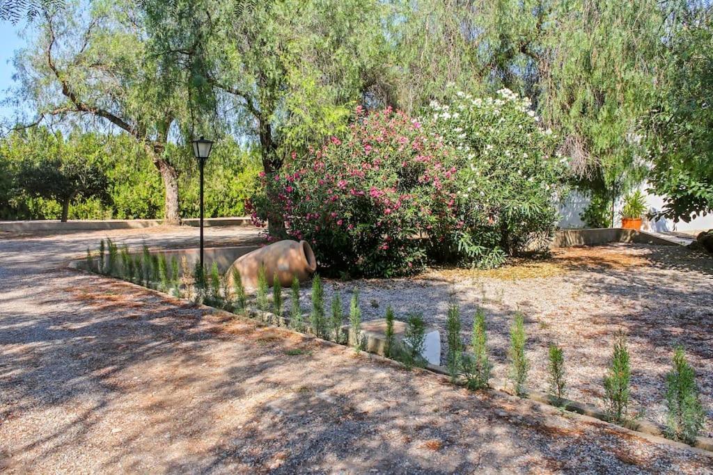 Сasa de vacaciones Huerto Valenciano - Sol Y Tranquilidad - Piscina *