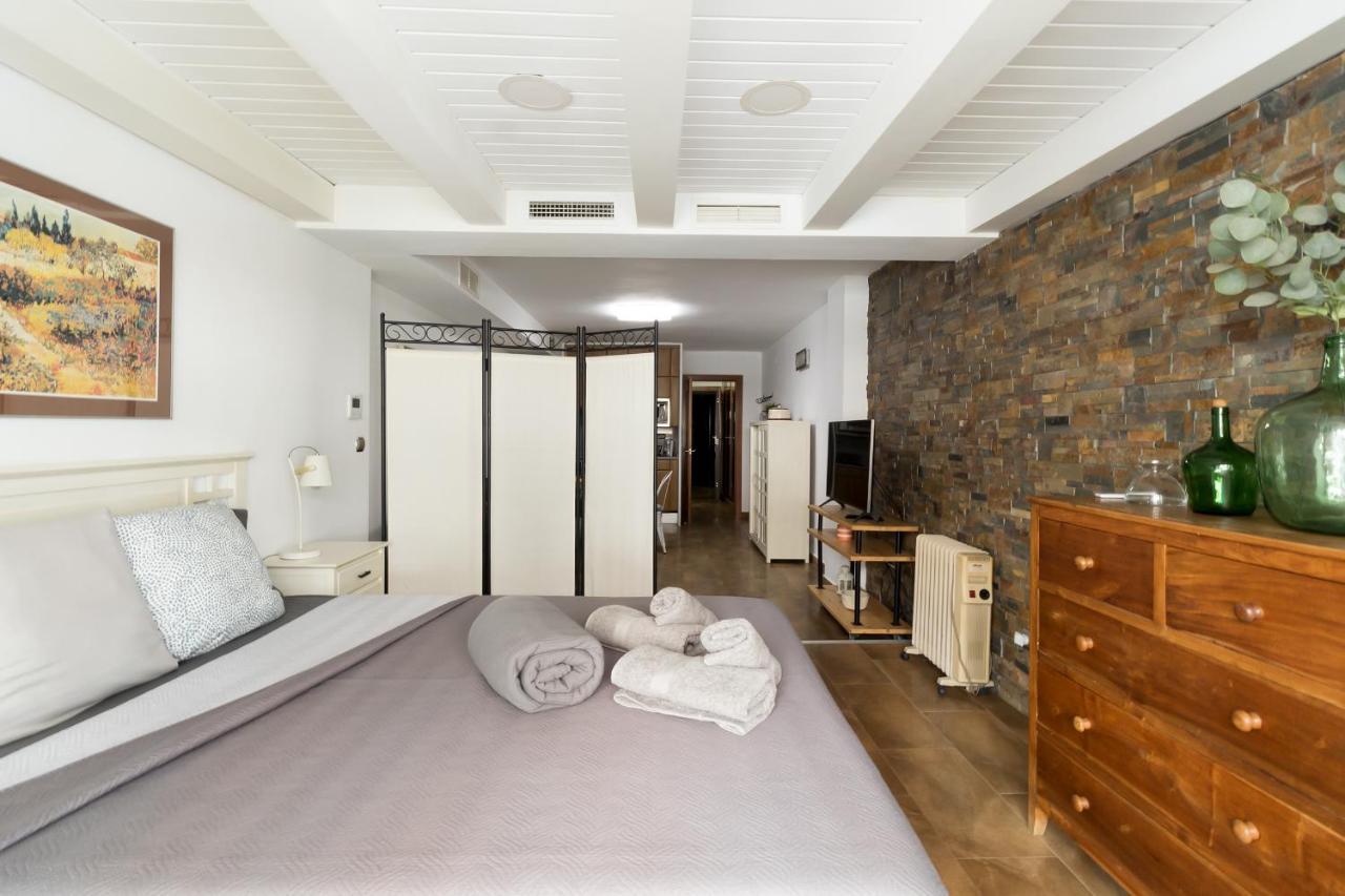 Loft Con Terraza Centro Apartment