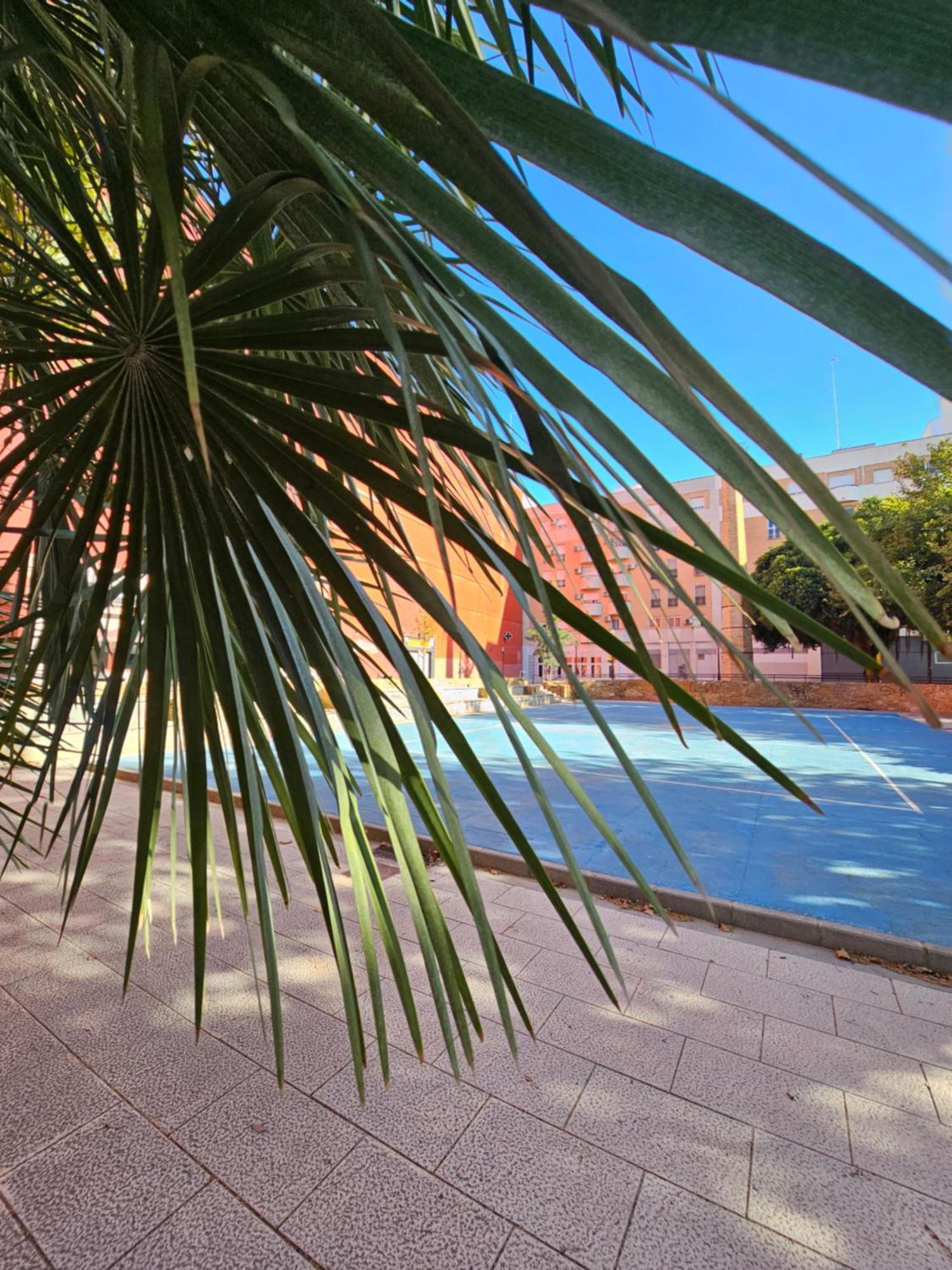 Lounge Garden Sea Mint Fresh Apartment Valencia