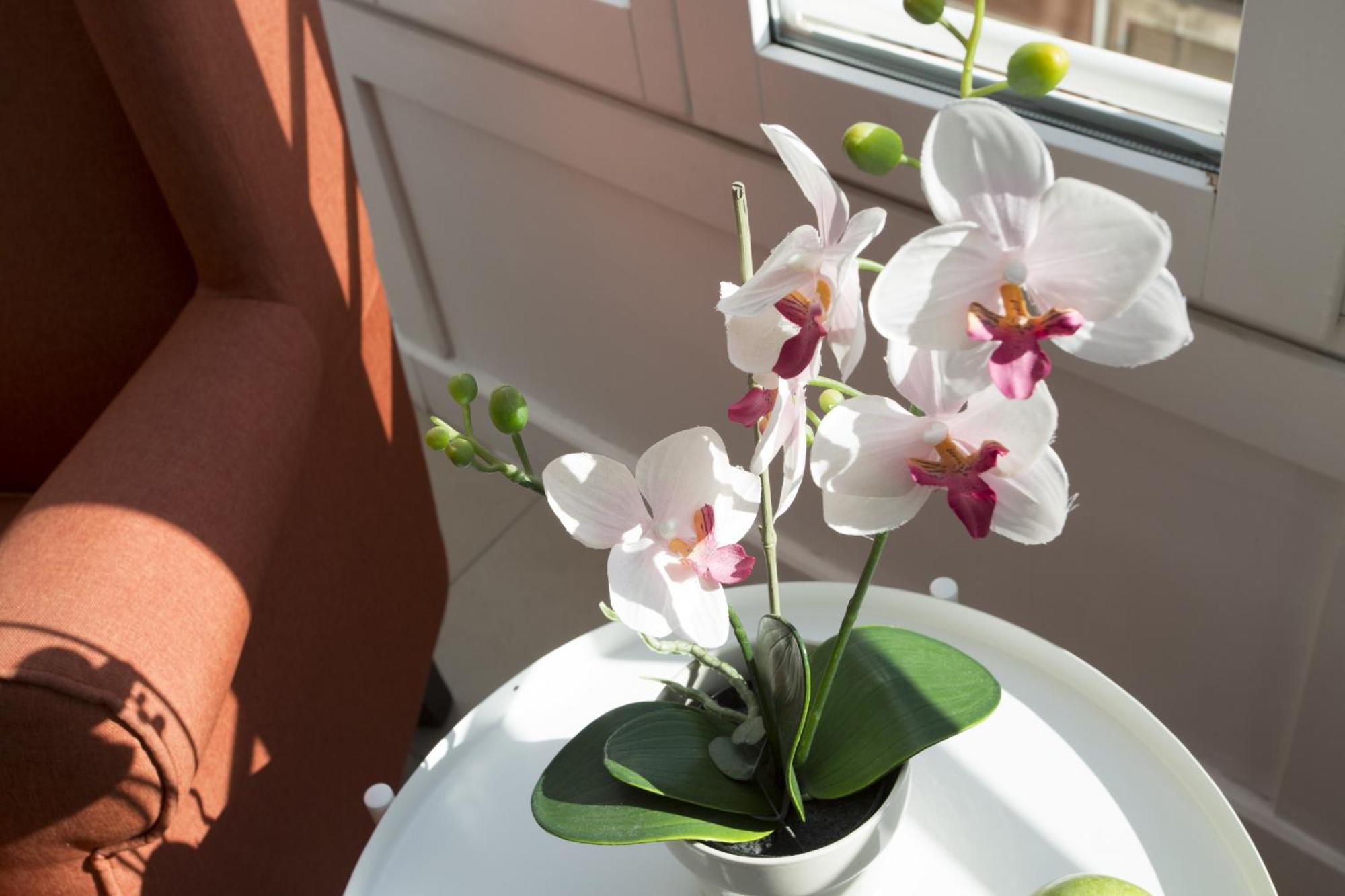 Apartment Singularstays Mar44