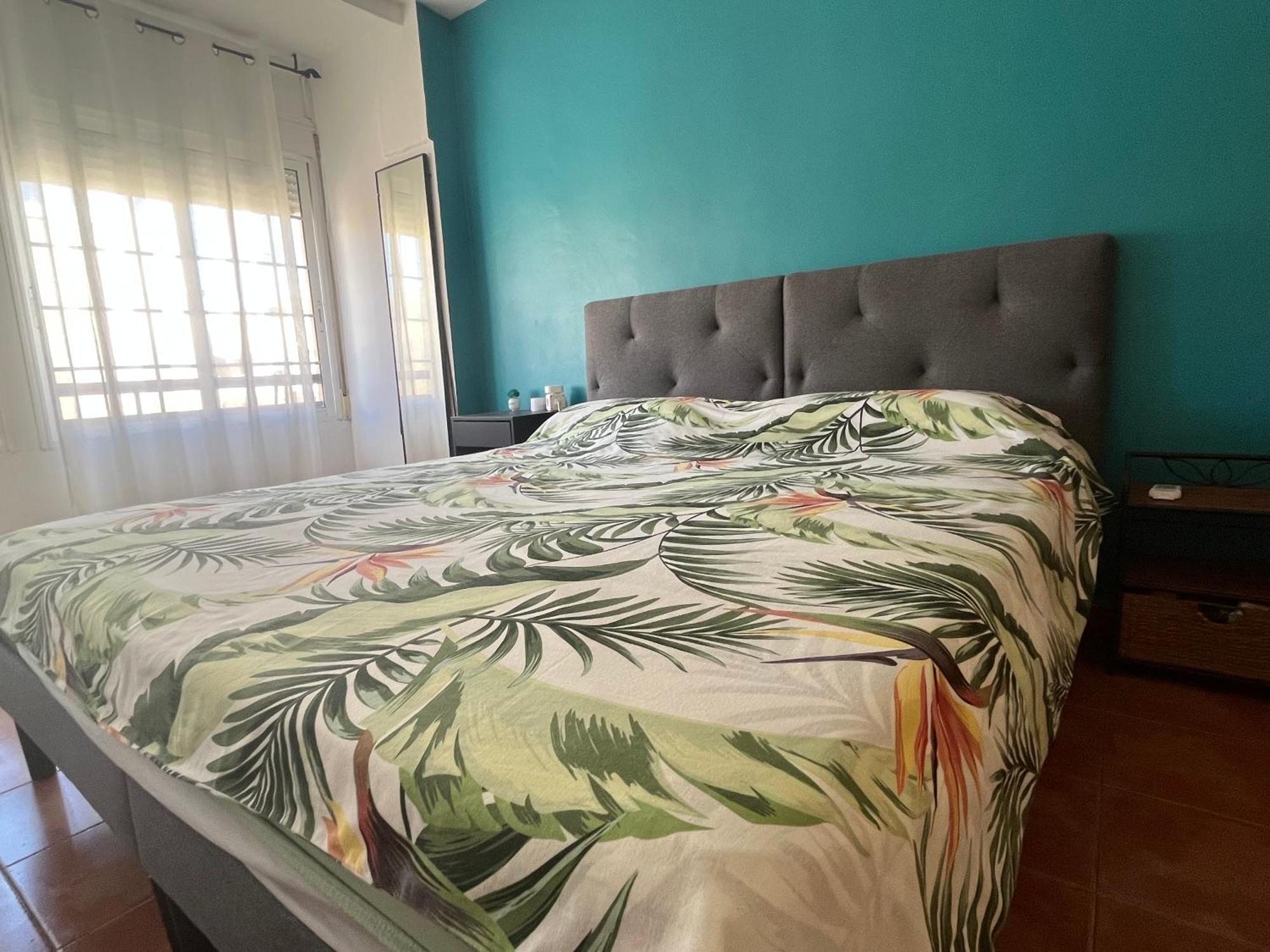Apartment Nuevo Centro *