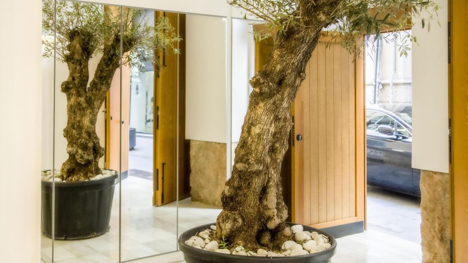 Catalina Downtown Appartement *