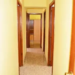 Apartemento grupo amigo o familias : blasco ibanez C