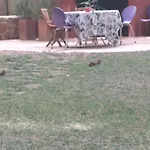 Pura Vida Cabana