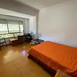 Piso Para Jovenes Familia Cerca Playa Y Centro . Blasco Ibanez A