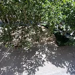 Valencia Apartament Encantador