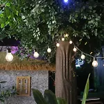 The Pod Suite Hostel Village
