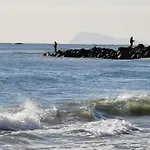 Estrella De Mar