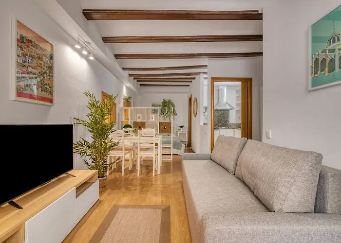 Precioso Loft, Ubicado En El Corazon De Valencia