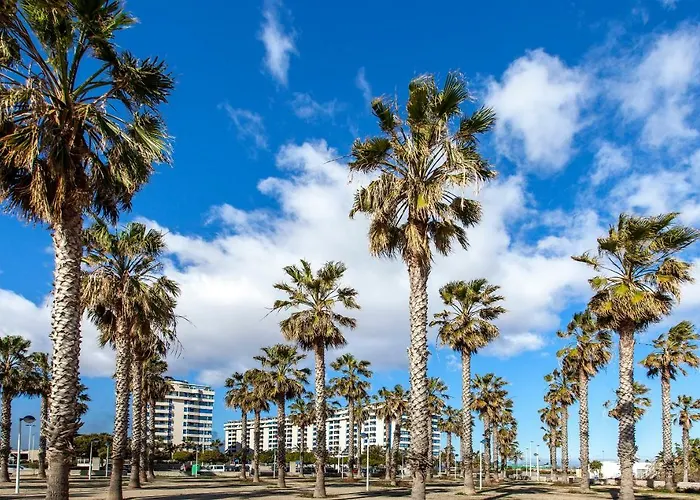 Valencia/Mare Nostrum