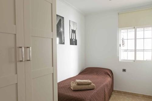 Apartment Attic