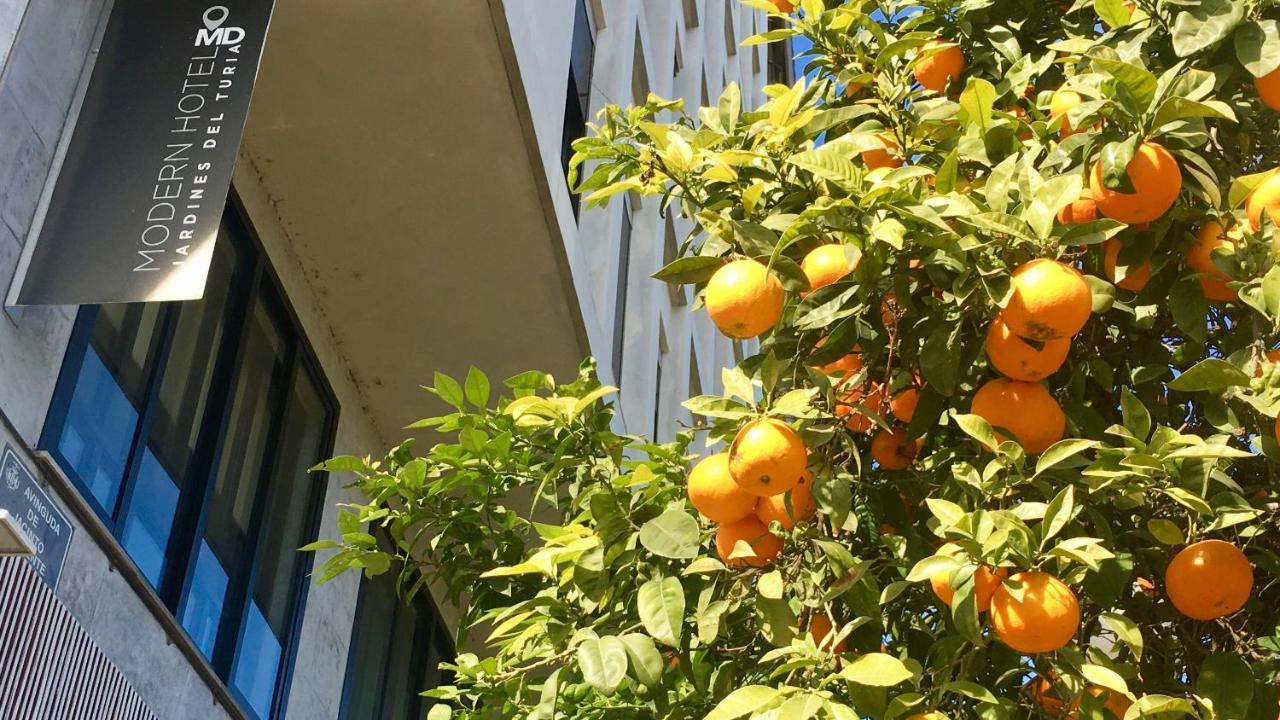 Md Modern - Jardines