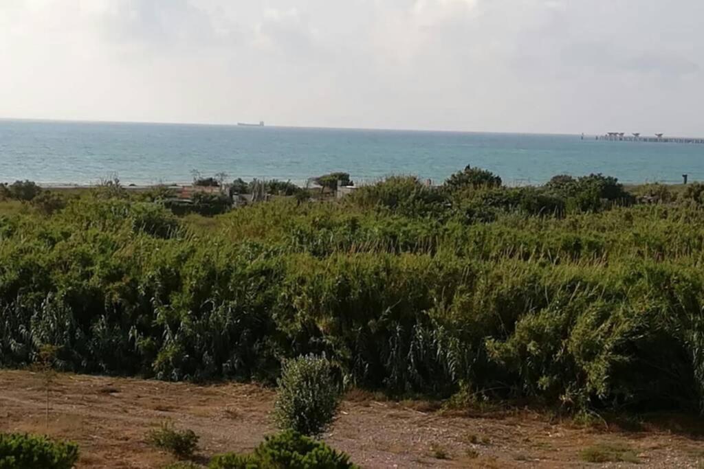 Apartamento Playa Canet Apartment