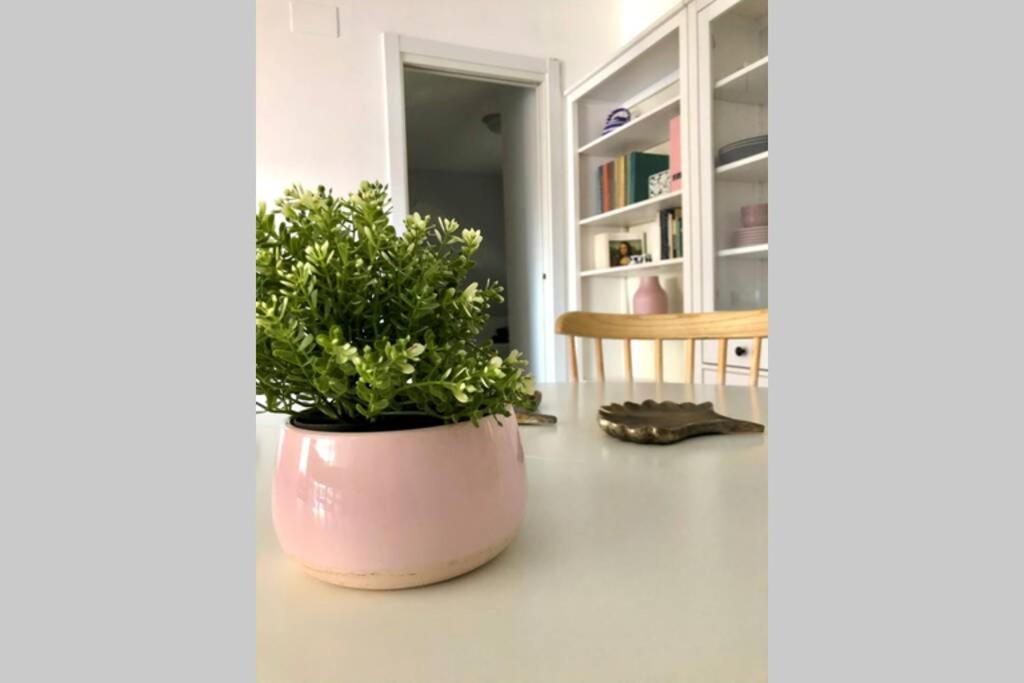 Beautiful And Renovated In The Center * Valencia