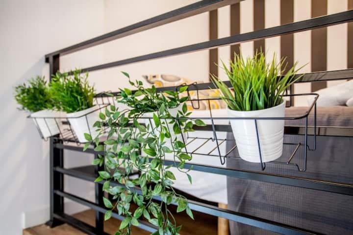 Cool Lofts Center Guest house *