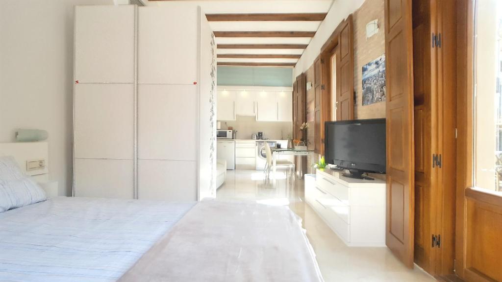 Plaza Redonda Flats Apartment Valencia