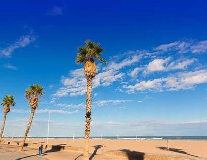 Apartment Your At Valencia, Marina Real *