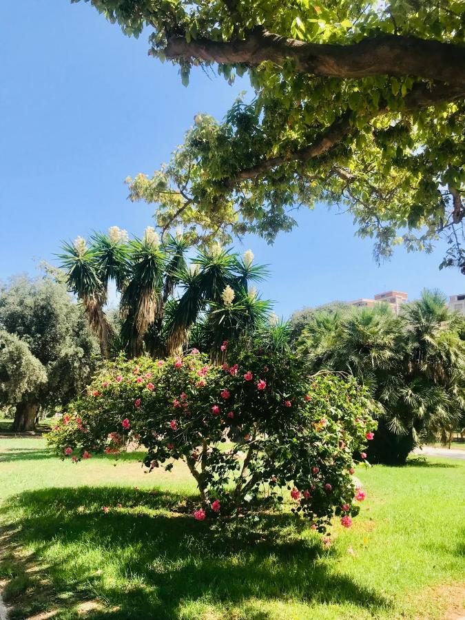 Apartment Turia San Pio V *