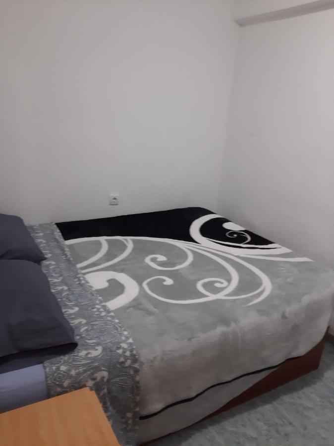 Grande En Piso Compartido Con 2 Adultos Y 1 Perrito *