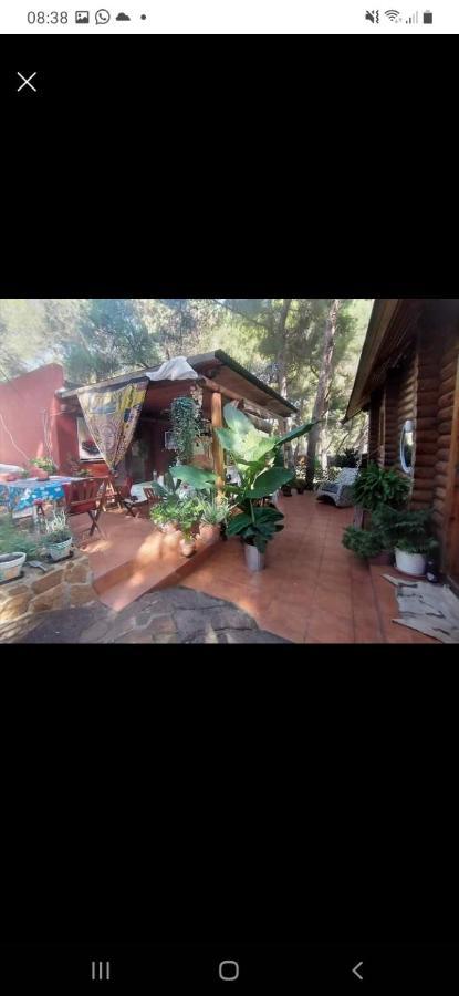 Pura Vida Cabana *