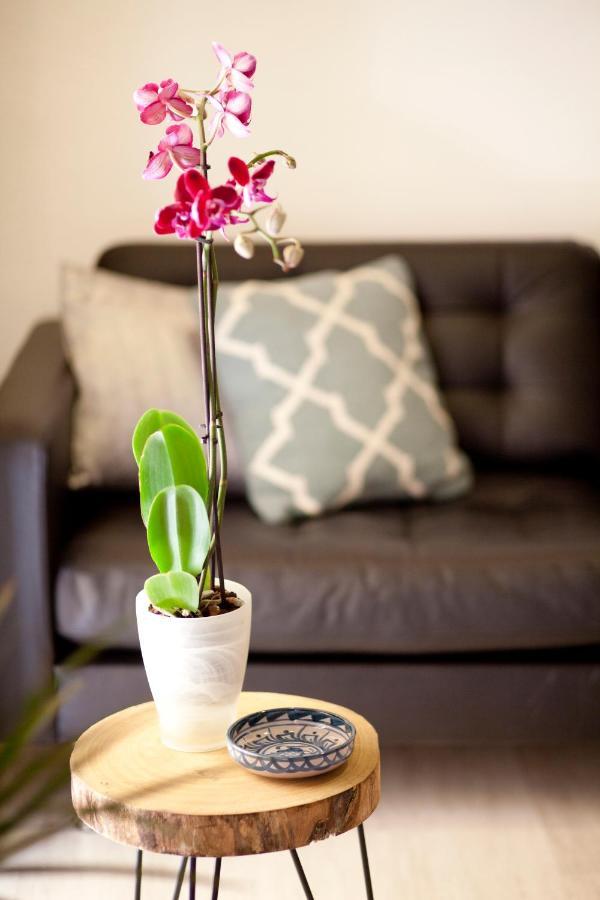 Apartment Authentic Charming Apartment/wifi/air Conditioning *