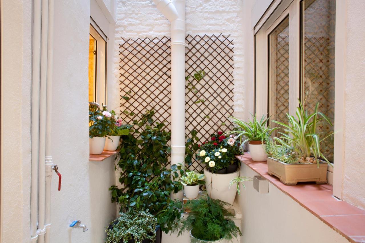 Authentic Charming Apartment/wifi/air Conditioning Apartment *