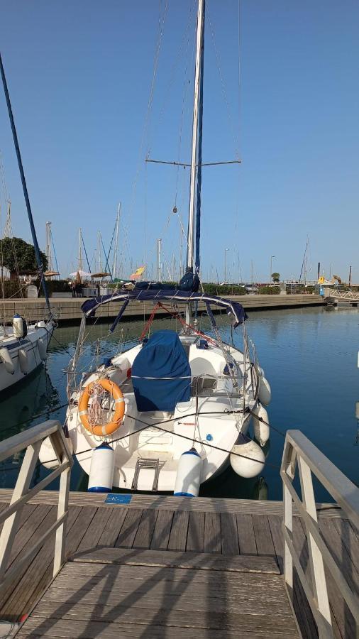 Excelente Velero En