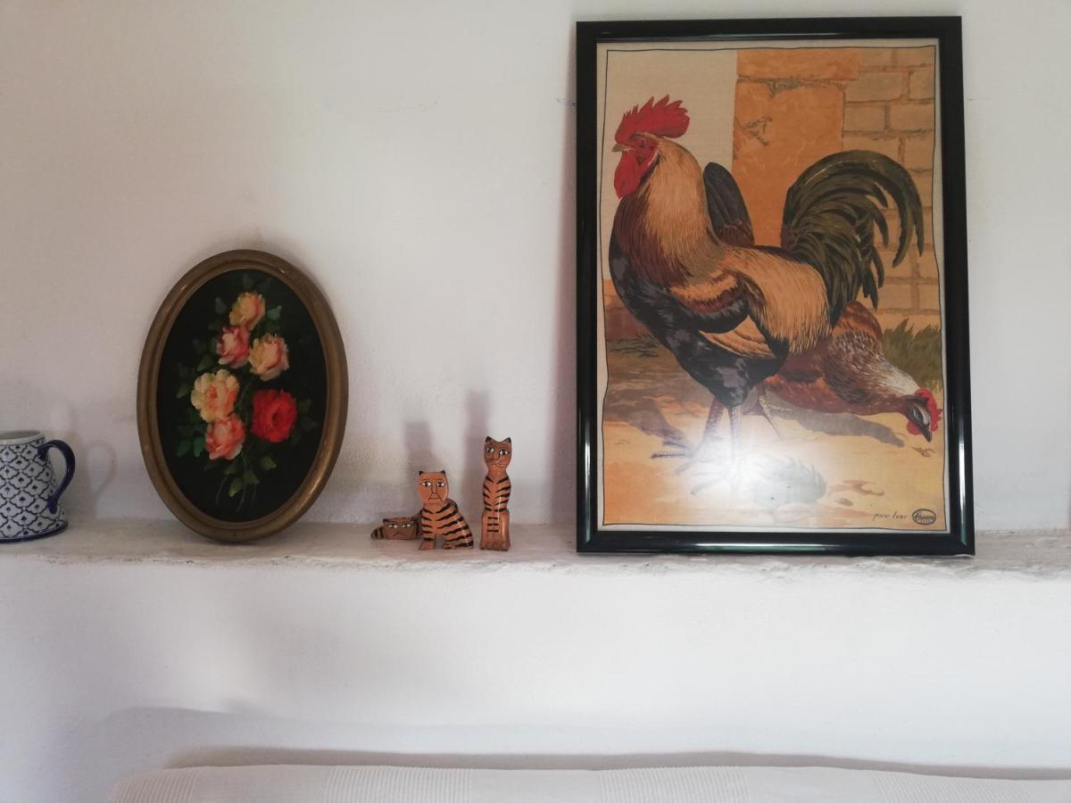 Country Side Loft Apartment Valencia