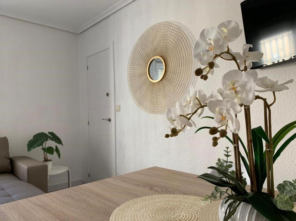 Espectacular Apartamento A 100mt De La Playa Arenas *