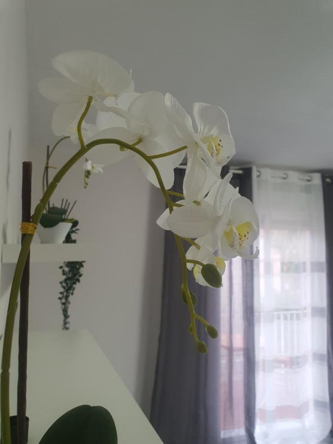 Apartment Apartamento Rio Turia