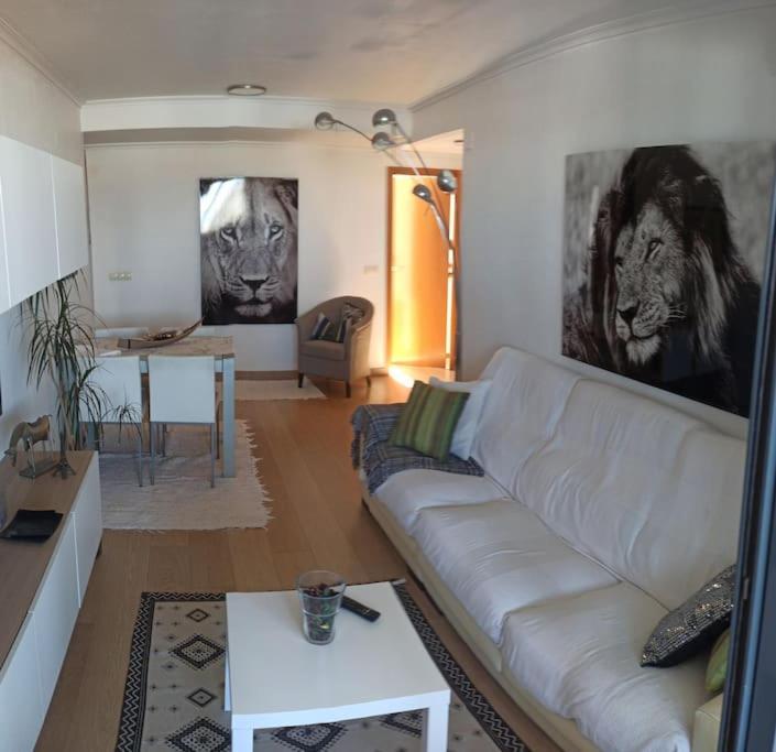 Apartment Atico En Paiporta Con 2 Grandes Terrazas