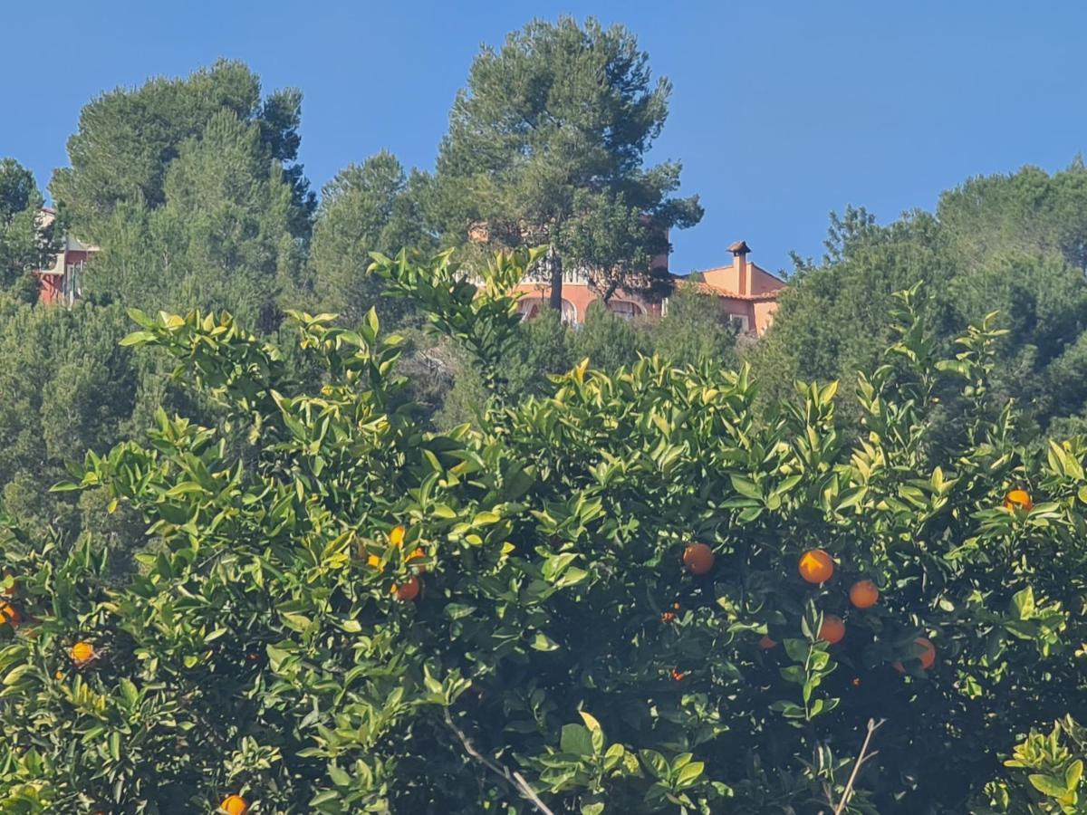 Chateau Angelique Country house Valencia