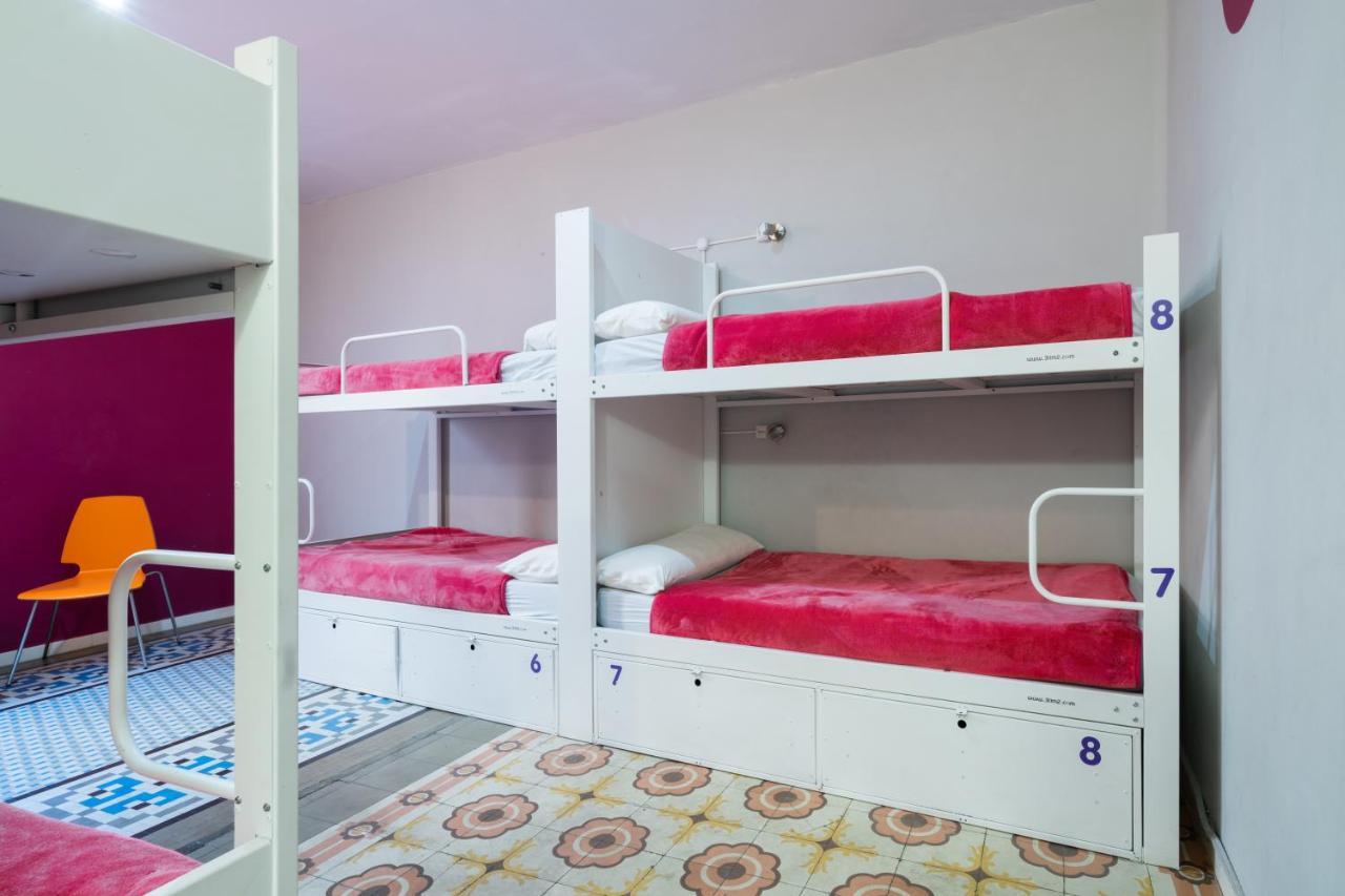 Hostel Purple Nest