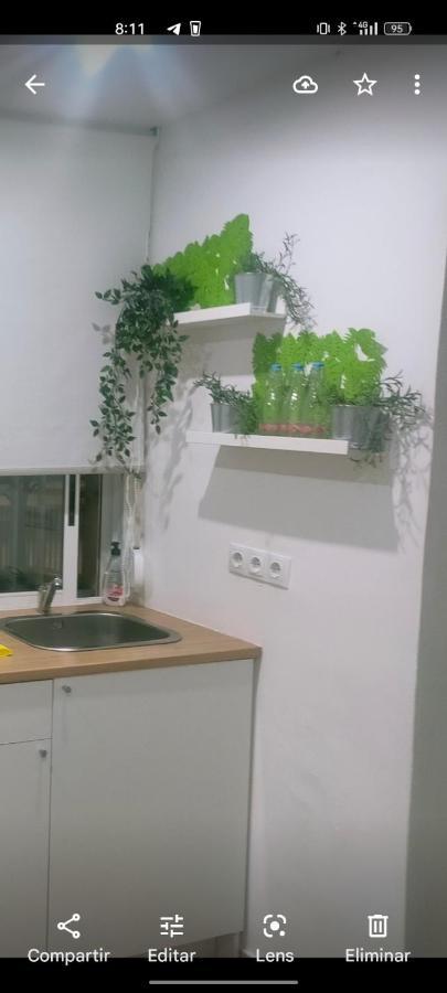 Apartment Betero Estudios