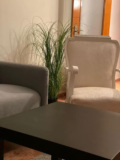 In Spacious Flat In Apartment Valencia