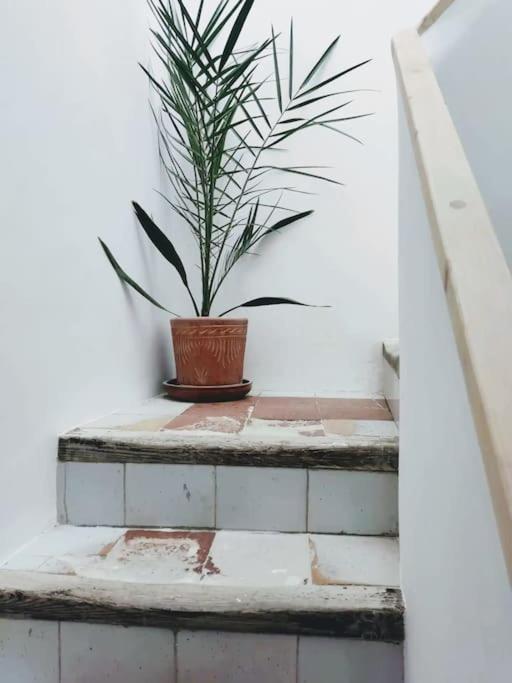Apartment 7p Centrico Piso Con Encanto *