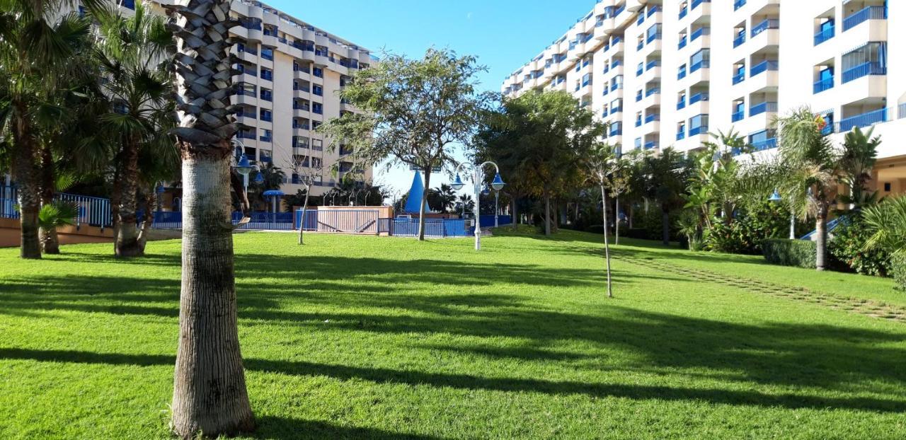 Appartement Patacona *