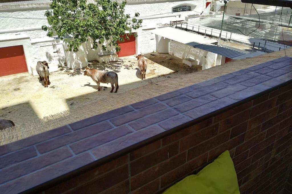 Apartment Bonito Y Amplio Piso Junto A La Plaza De Toros. Valencia