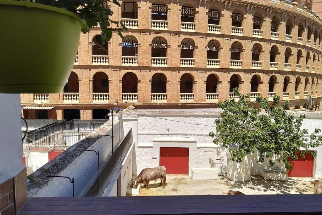 Bonito Y Amplio Piso Junto A La Plaza De Toros. *