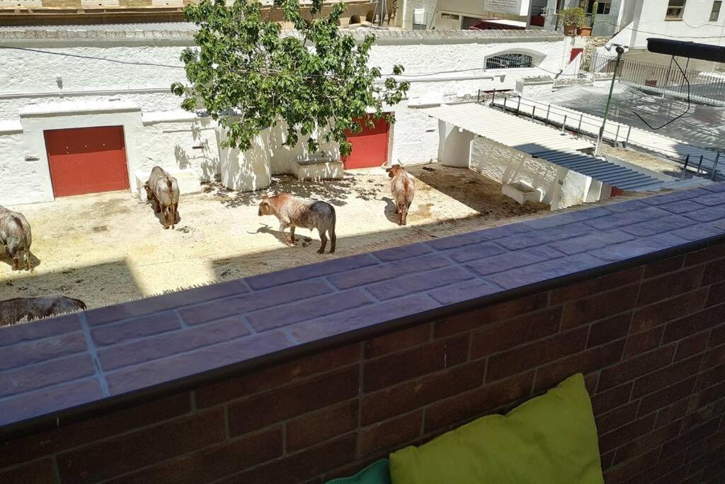 Bonito Y Amplio Piso Junto A La Plaza De Toros. Apartment