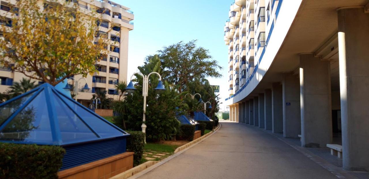 Appartement Patacona