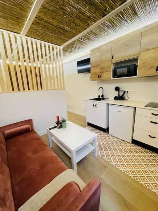 Estudio Albufera * Valencia