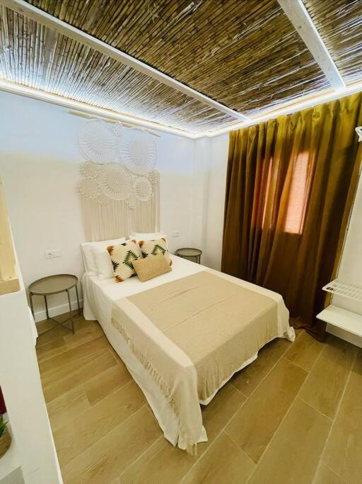 Estudio Albufera Valencia