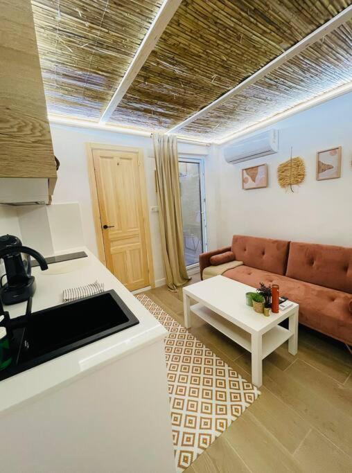 Estudio Albufera *