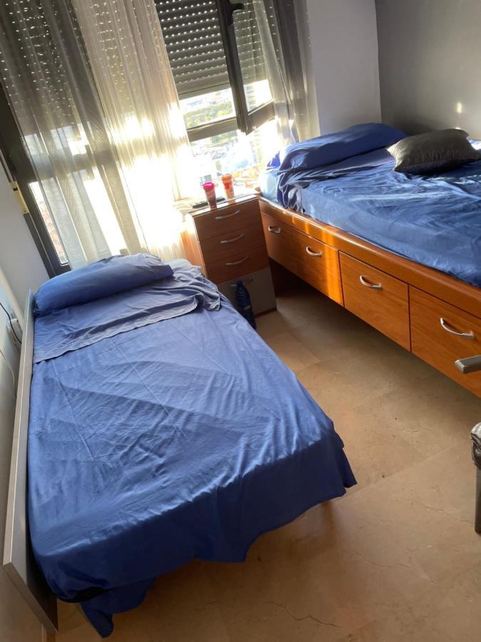 Dama Iberica Hospedagem domiciliar Valência