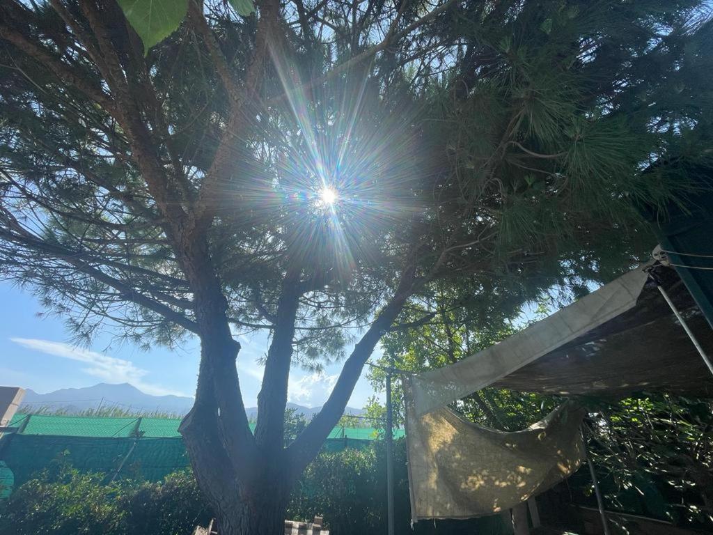 El Huerto Chalet